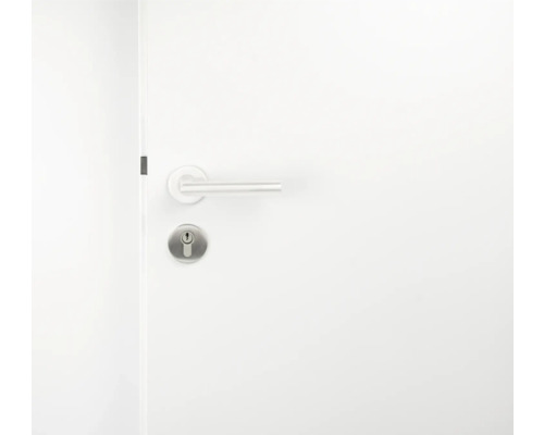 Weiß Tür mit Türgriff und Schloss