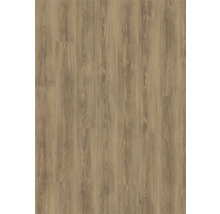 Vue d'un sol stratifié clair avec aspect bois