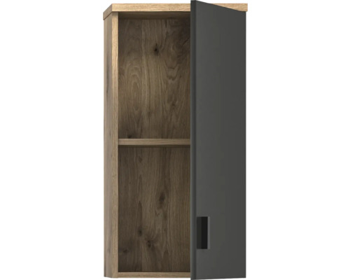 Armoire suspendue avec une porte et une étagère