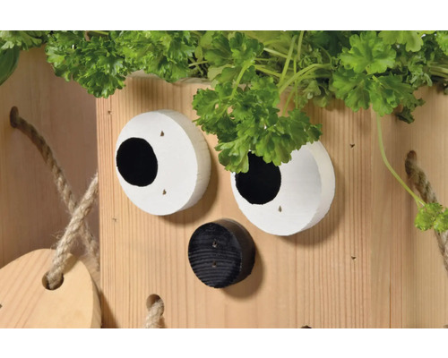 Holz-Pflanzkasten mit Gesicht-Design und Kräutern