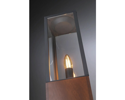 Luminaire d''extérieur en bois et verre avec ampoule