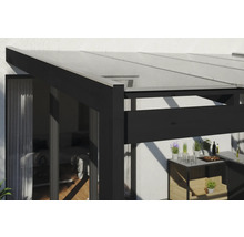 Toit de terrasse avec cadre noir et toit transparent