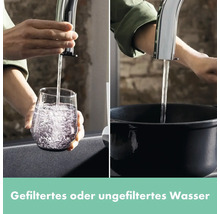 Wasserhahn mit gefiltertem oder ungefiltertem Wasser