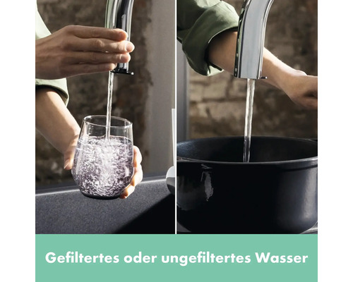 Wasserhahn mit der Option für gefiltertes oder ungefiltertes Wasser