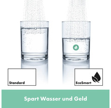 Vergleich des Wasserverbrauchs zwischen Standardarmatur und EcoSmart Armatur