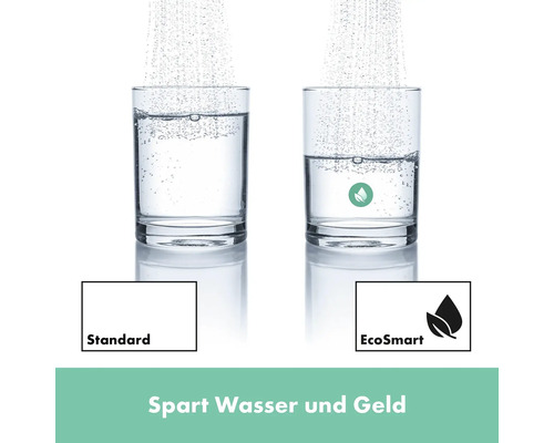 Vergleich von Wasserverbrauch: Standard und EcoSmart