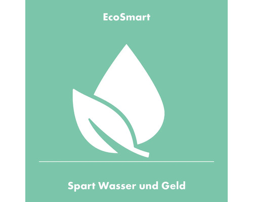 EcoSmart Wassersparfunktion Symbol