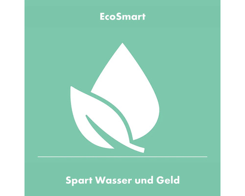 EcoSmart Symbol: Spart Wasser und Geld
