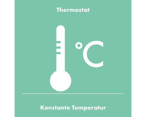 Thermostat für konstante Temperatur