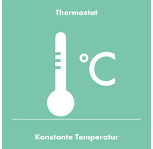 Thermostat-Symbol für konstante Temperatur