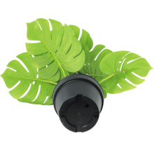 Monstera Deliciosa Kunstpflanze im schwarzen Topf