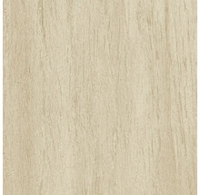 Vliestapete 39801-1 Elements II Holzoptik creme beige