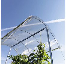 Tente à tomates avec cadre en métal et plantes
