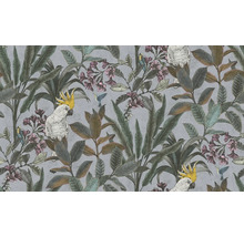 Tapete mit Kakadus, Kolibris, Blättern und Blüten