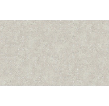 Vliestapete 39656-3 Stories of Life Uni beige silber