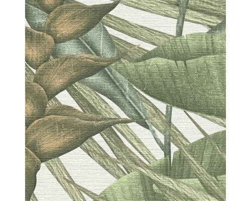 Illustration avec des feuilles et des plantes