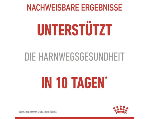 Unterstützung der Harnwegsgesundheit in 10 Tagen