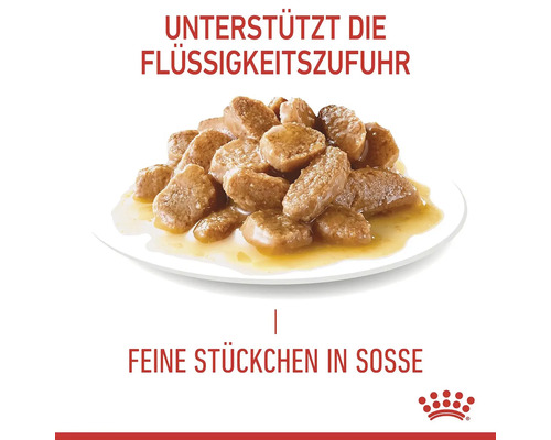 Katzenfutter mit feinen Stückchen in Soße zur Unterstützung der Flüssigkeitszufuhr