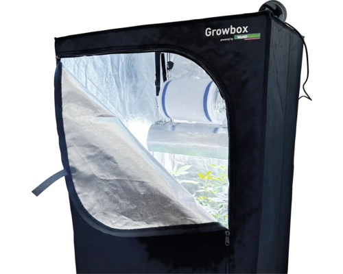 Growbox mit Belüftungssystem und Pflanzen