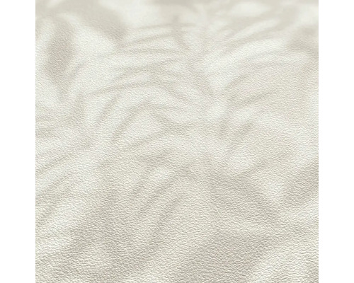 Gros plan d''une surface claire et texturée.