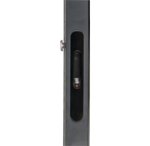 Poignée de fenêtre pour fenêtre