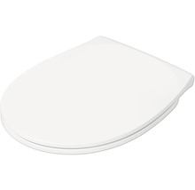 Abattant de WC en plastique