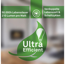 Informations produit sur la longue durée de vie et l''efficacité énergétique des ampoules