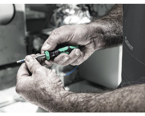 Eine Person hält einen Wera Schraubendreher in der Hand.