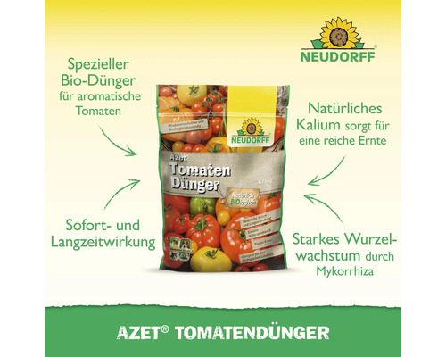 ficus ginseng düngen Ficus ginseng (Chinesische Feige) kaufen main image 0