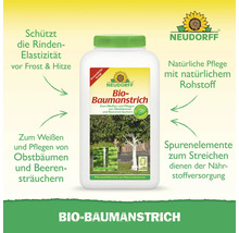 Neudorff Bio Baumanstrich zum Schutz und zur Pflege von Obstbäumen und Beerensträuchern