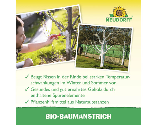 Anwendung von Bio-Baumanstrich zum Schutz von Baumrinde vor Temperaturschwankungen, mit Neudorff Logo.