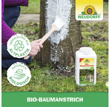 Anwendung von Bio-Baumanstrich mit einem Pinsel auf einen Baumstamm, Neudorff Logo