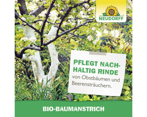 Baum mit Baumstamm geschützt mit Baumanstrich und Neudorff Logo