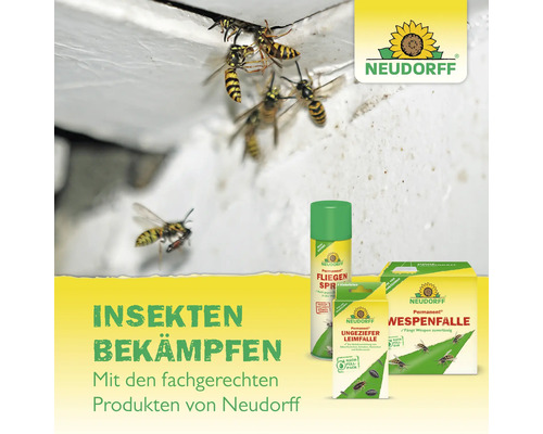 Neudorff Insektenbekämpfungsprodukte mit Wespen am Nest