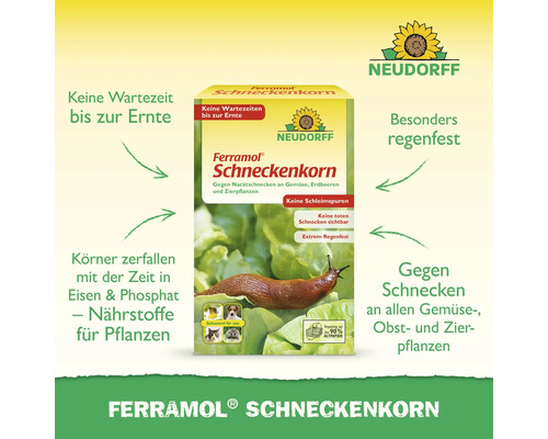Ferramol Schneckenkorn Produktverpackung zur Schneckenbekämpfung