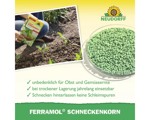Ferramol Schneckenkorn Packung und Schneckenkorn in einer Glasschale