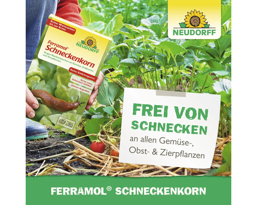 Ferramol Schneckenkorn Packung zum Schutz von Gemüse-, Obst- und Zierpflanzen vor Schnecken.