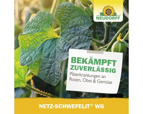 Netzschwefelit WG zur zuverlässigen Bekämpfung von Pilzkrankheiten an Rosen, Obst und Gemüse