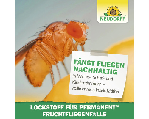 Neudorff Logo. Lockstoff für Fruchtfliegenfalle mit Fruchtfliege.