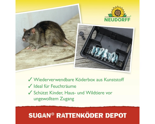Sugan Rattenköder Depot mit Ratte und geöffneter Köderbox