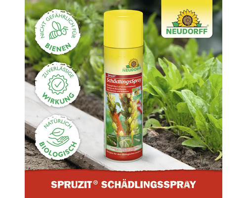 Neudorff Spruzit Schädlingsspray zur Schädlingsbekämpfung