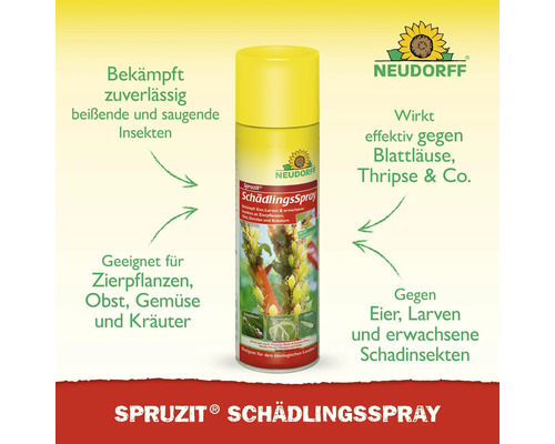 Neudorff Spruzit Schädlingsspray zur Schädlingsbekämpfung
