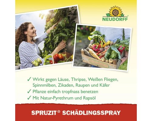 Anwendung von Spritzmittel gegen Schädlinge an Pflanzen, Neudorff Logo