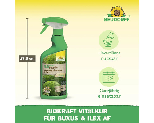 Neudorff Biokraft Vitalkur für Buchs und Ilex, 27,5 cm Flasche