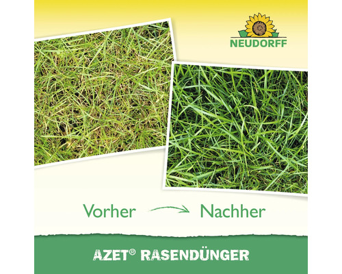 Vorher Nachher Vergleich von Rasen mit Azet Rasendünger und Neudorff Logo.