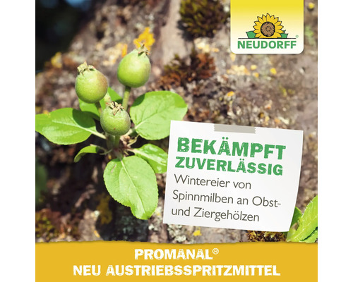 Nahaufnahme von jungen Früchten an einem Baumzweig mit dem Hinweis, dass Promanal zuverlässig Wintereier von Spinnmilben an Obst- und Ziergehölzen bekämpft, Neudorff Logo