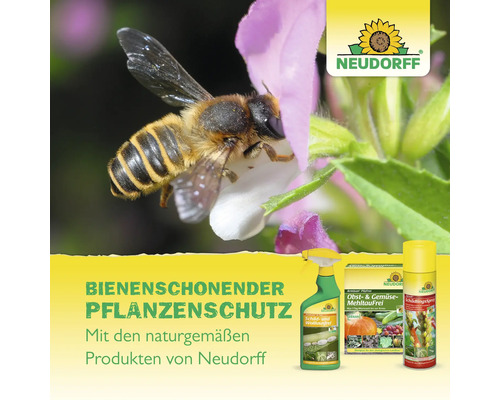 Bienenschonender Pflanzenschutz von Neudorff mit Biene auf Blüte