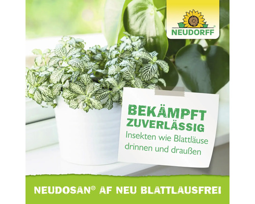 Neudorff Logo mit Hinweis auf Neudosan AF Neu Blattlausfrei Produkt zur zuverlässigen Bekämpfung von Blattläusen für Innen- und Außenbereiche.