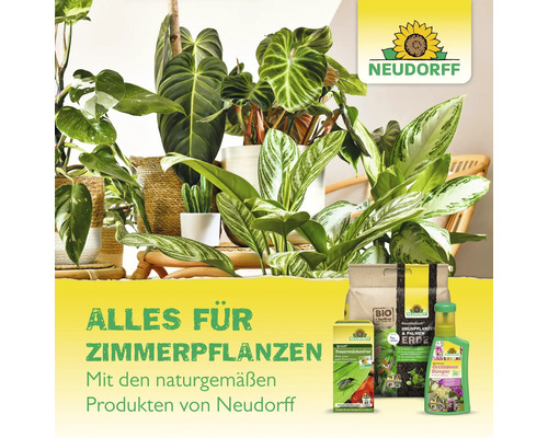 Alles für Zimmerpflanzen mit Neudorff Produkten wie Erde, Dünger und Schädlingsbekämpfungsmittel