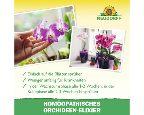 Orchideen-Elixier zur Stärkung der Pflanzen